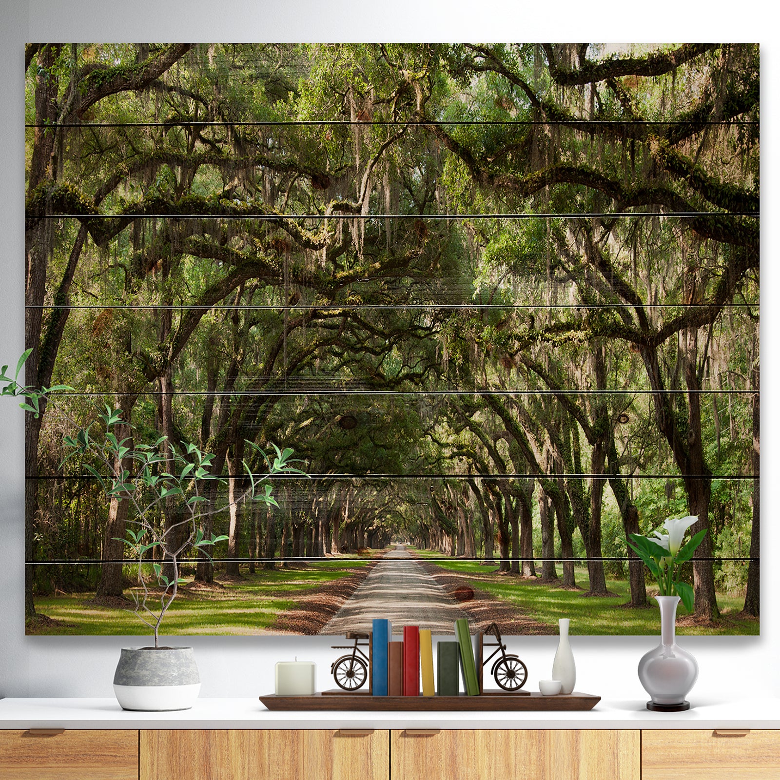 Live Oak Tunnel - Photography Print on Natural Pine Wood