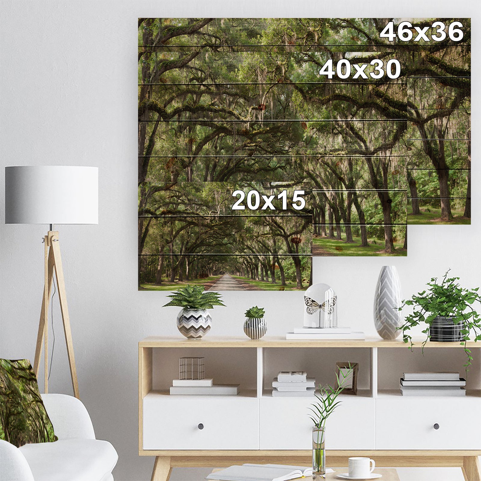 Live Oak Tunnel - Photography Print on Natural Pine Wood