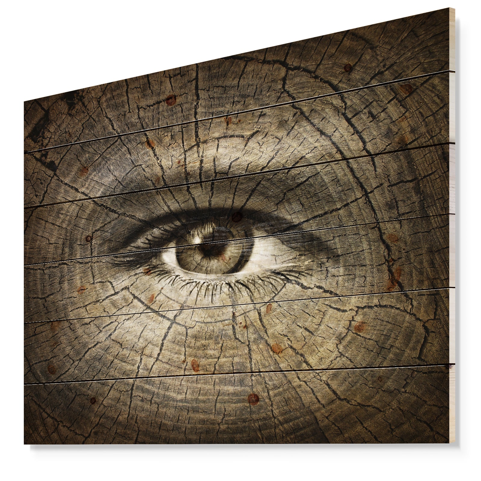 Aging Eyes - Abstract Print on Natural Pine Wood