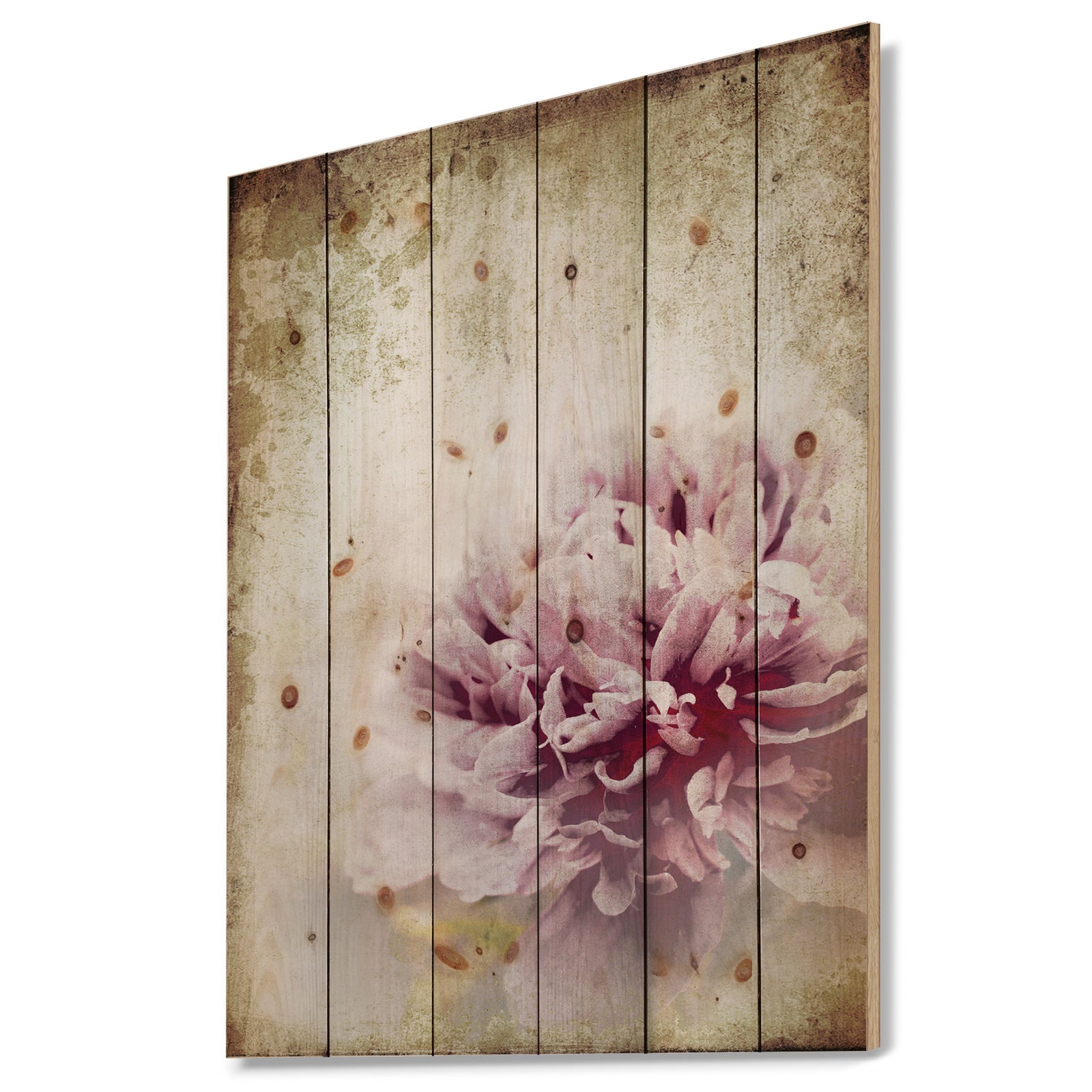Pink Peony in Vintage Style - Floral Art Print on Natural Pine Wood