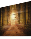 Road in Symmetrical Forest - Landscape Photography Print on Natural Pine Wood