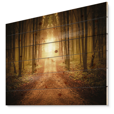 Road in Symmetrical Forest - Landscape Photography Print on Natural Pine Wood