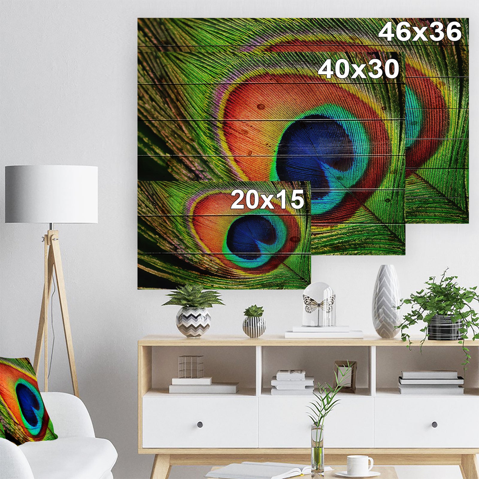 Peacock Feather - Photography Print on Natural Pine Wood