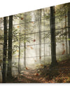 Light in Dense Fall Forest with Fog - Landscape Print on Natural Pine Wood