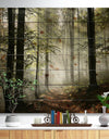 Light in Dense Fall Forest with Fog - Landscape Print on Natural Pine Wood