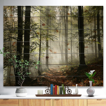 Light in Dense Fall Forest with Fog - Landscape Print on Natural Pine Wood