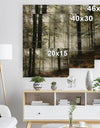 Light in Dense Fall Forest with Fog - Landscape Print on Natural Pine Wood