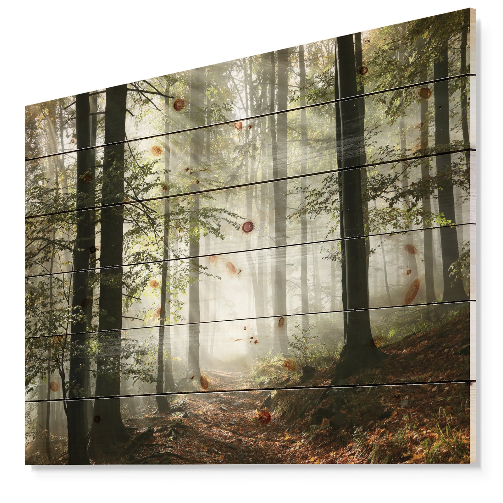 Light in Dense Fall Forest with Fog - Landscape Print on Natural Pine Wood